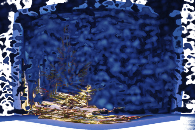 sapin bleu dominus